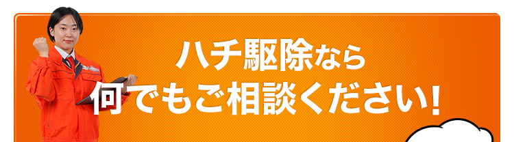 ハチ駆除なら何でもご相談ください！