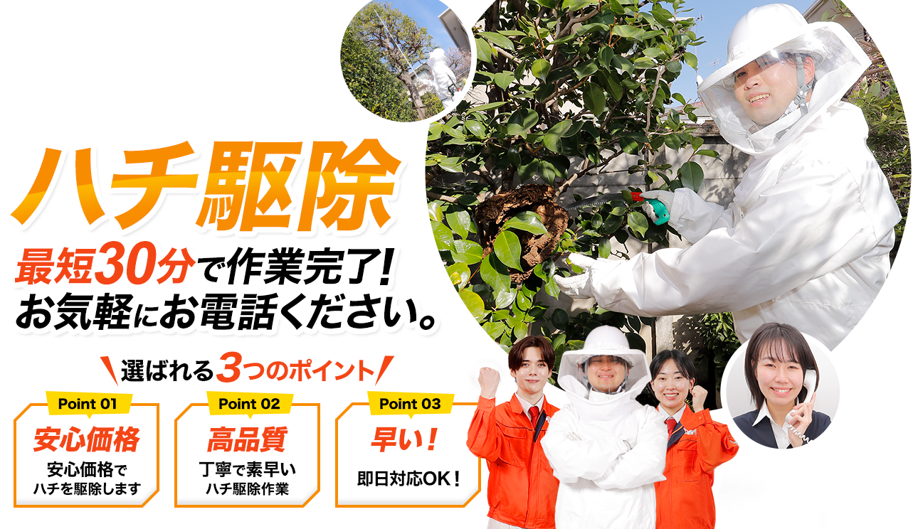 ハチ駆除 最短30分で作業完了！お気軽にお電話ください。