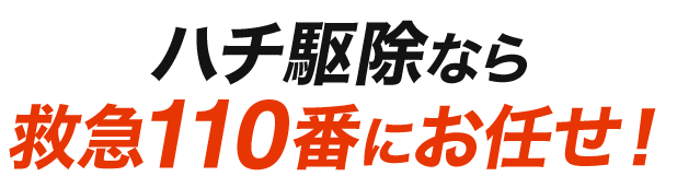 ハチ駆除なら救急110番にお任せ！