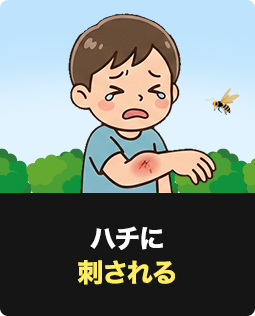 ハチに刺される