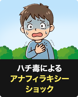 ハチ毒によるアナフィラキシーショック