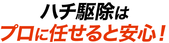 ハチ駆除はプロに任せると安心！