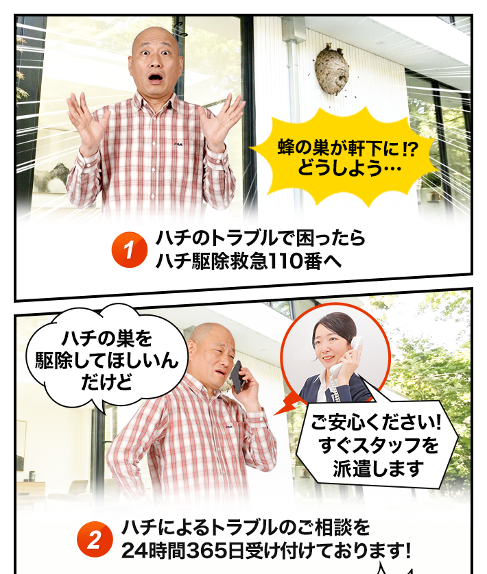 ハチのトラブルが発生～相談するイメージ
