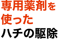 専用薬剤を使ったハチの駆除