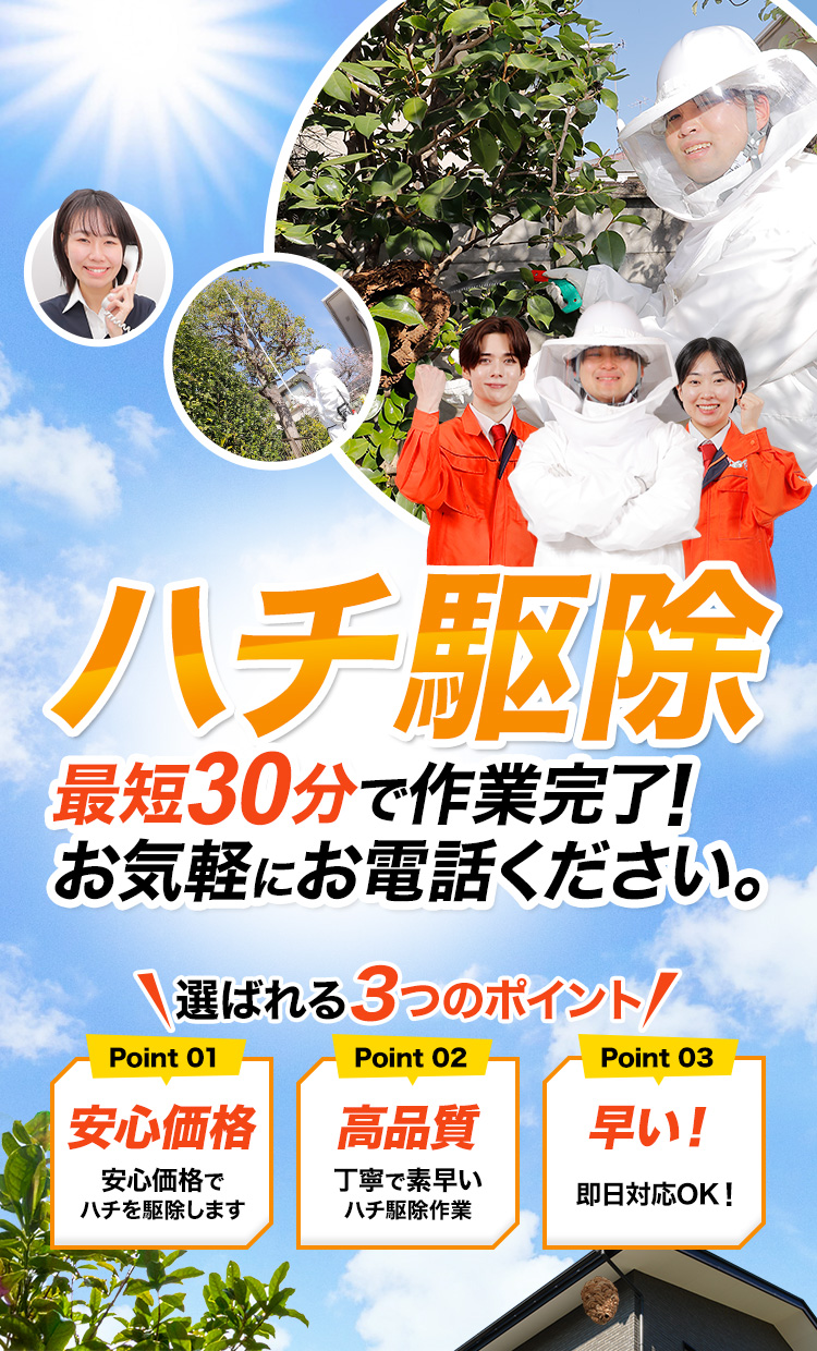 ハチ駆除 最短30分で作業完了！お気軽にお電話ください。