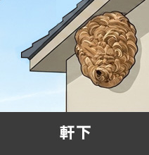 軒下