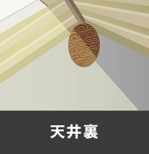 天井裏