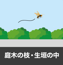庭木の枝・生垣の中