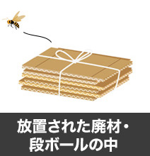 放置された廃材・段ボールの中
