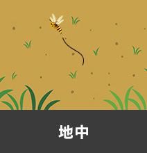 地中