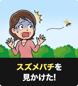 スズメバチを見かけた！