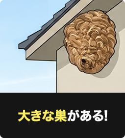 大きな巣がある！