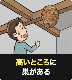 高いところに巣がある