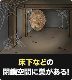 床下などの閉鎖空間に巣がある！